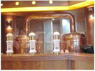 300L-1000L Red Copper Clad Brewery Machine for Craft Beer Making