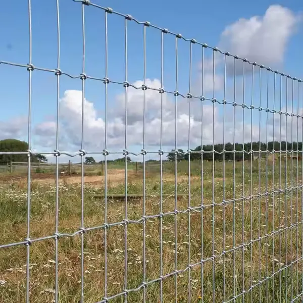 China 8ft Deer Fence Rede de arame de aço galvanizado a quente 2,0 - 3,5mm Diâmetro do fio superior Malha de arame tricotada para soldagem e dobra