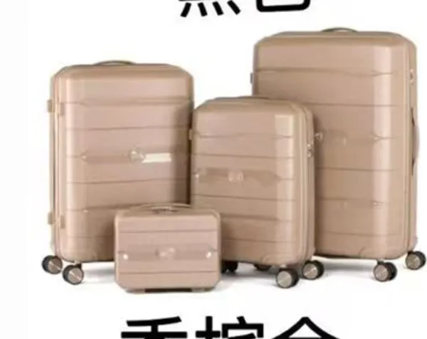 Skd pp Luggage SKD 12sets pp Luggage Cheaper Price of SKD 15sets Luggage photo-4