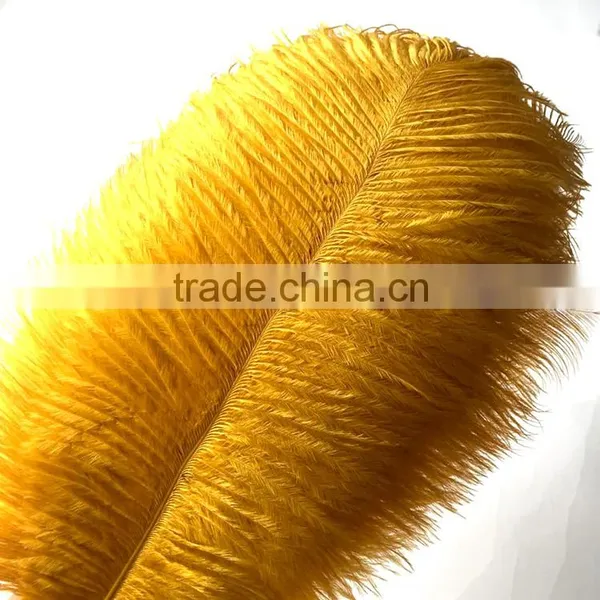 Wholesale Natural Ostrich Feather, Colored Ostrich Feathers for Wedding and Party Decoration photo-2