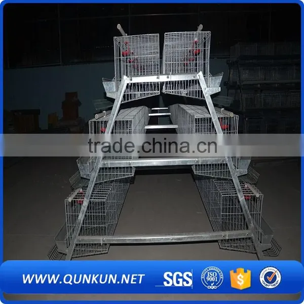 Chicken Cages With Drinkers and Feeders photo-4