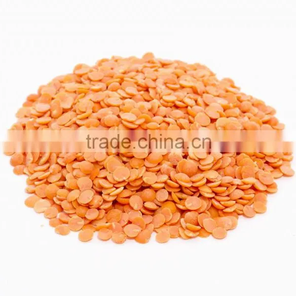 Best Quality DRIED Green Lentils | Red Lentils | Brown Lentils photo-5