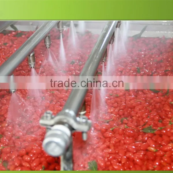 Gojiberry From Manufacturer photo-2