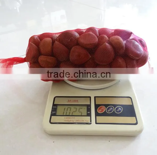 Wholesale Chestnut /Horse Chestnut/Chestnut From Fty photo-4