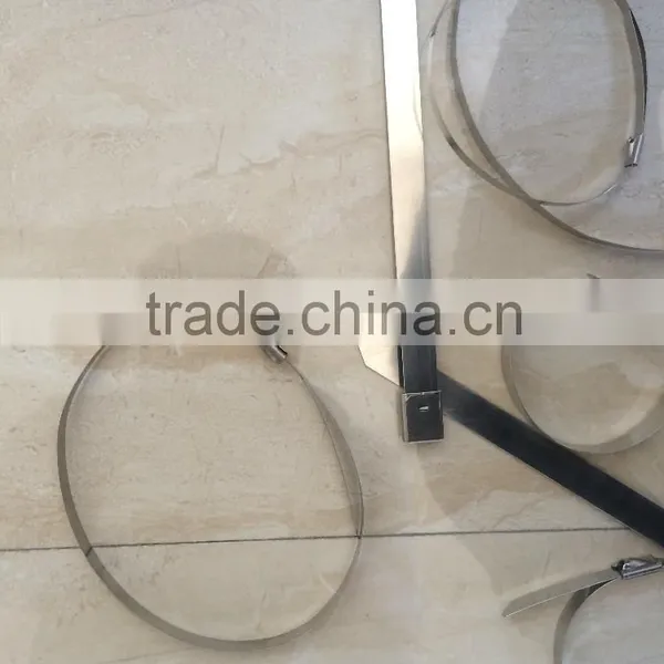 Supply 400x4.6mm Stainless Lock Steel Cable Ball Tie 304 Material photo-5