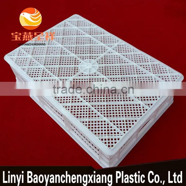 650x450x170mm Plastic Turnover Basket for Duckling Transportation photo-5