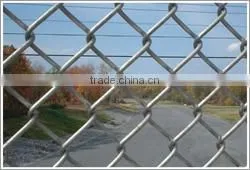 PVC Coted Chain Link Fence( Gold Factory) photo-5