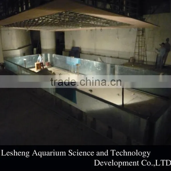 Cast Acrylic Pool Acrylic Swimming Pool photo-4
