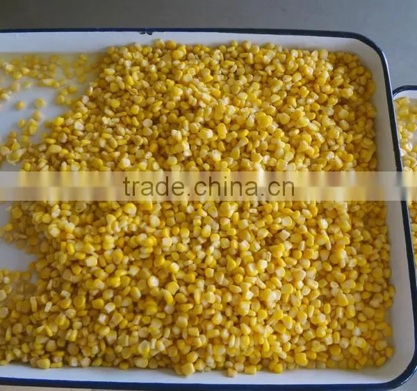 Export Canned Sweet Yellow Corn 340gx24tin photo-3