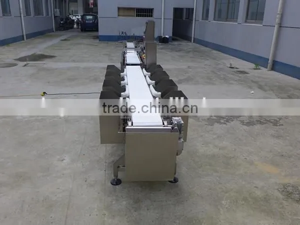 3-12 Level Weight Sorting Machine, Check Weigher to Sort and Weigh Chicken Breast Fillets. Ranging From 5g to 1500g. photo-4