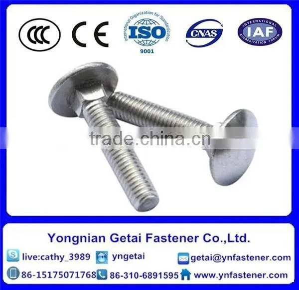 Stainless Steel 304 Carriage Bolt Din603 photo-5