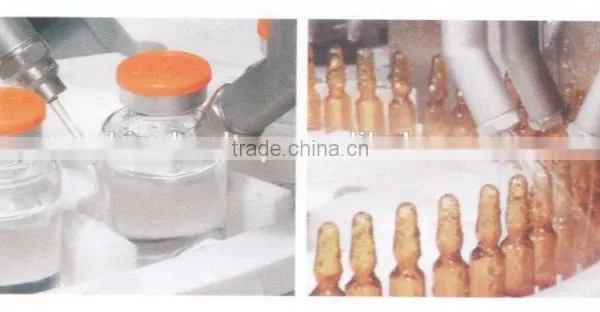 DNWX-300 Bottle Wall Washing Equipment photo-4