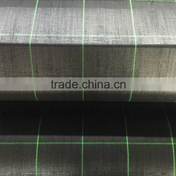 PP Agricultural Plastic Ground Cover Weed Control Mat photo-5