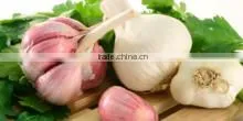 GARLICS photo-2