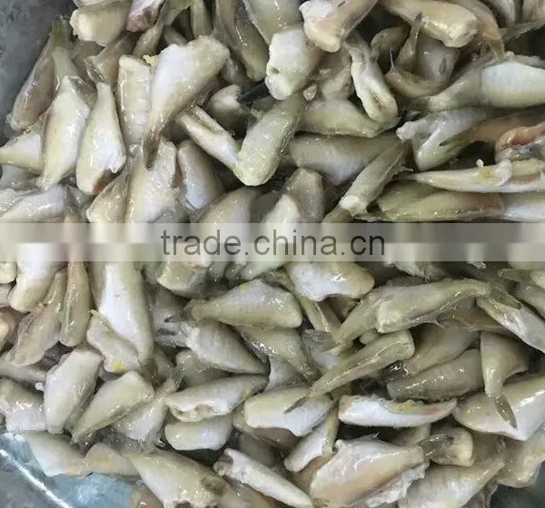 Filefish Good Packing Frozen Leather Jacket Fillet Fish photo-2