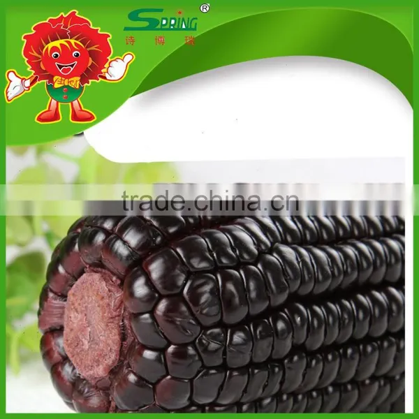 Sweet Yellow Corn/yellow Corn Price Yellow Corn for Human Consumption photo-5
