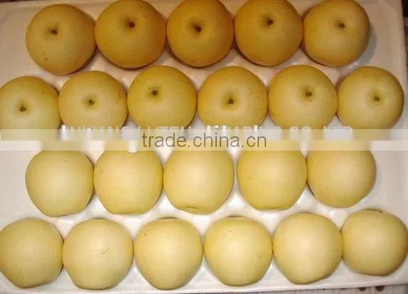 Excellent Crown With Cheaper Price for Sell photo-6