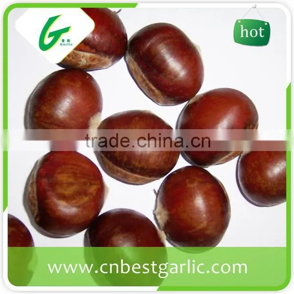 Horse Fresh Chestnut Oil photo-2