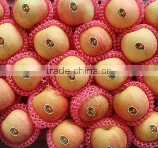 Fresh Fuji Apple