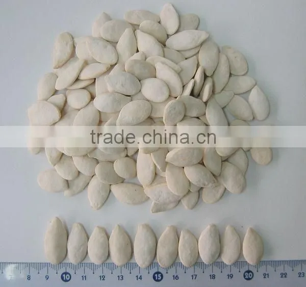 Wholesale Delicious Red Watermelon Seeds photo-3