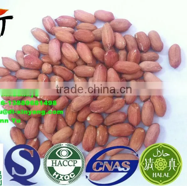High Quality Red Skin Peanut ,peanuts photo-3