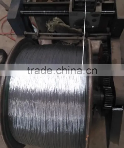 2 Strands Galvanized Twisted Wire photo-2
