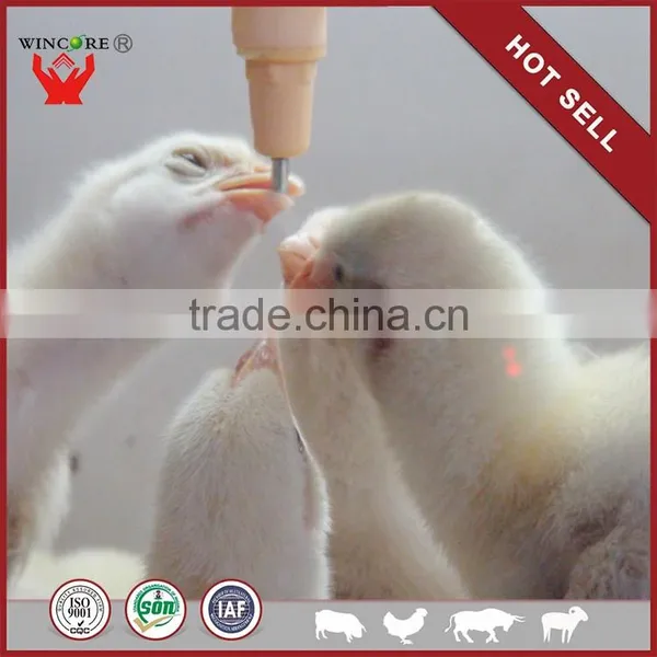 Automatic Farm Chicken Poultry Equipment/poultry Farm Equipment