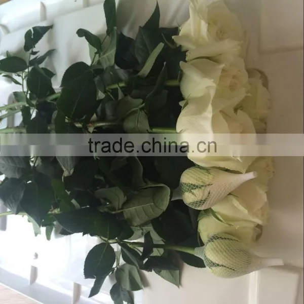 Wedding Flowers Fresh Cut Roses Fresh Flower Hand Bouquet Decoration Fresh Flowers photo-6