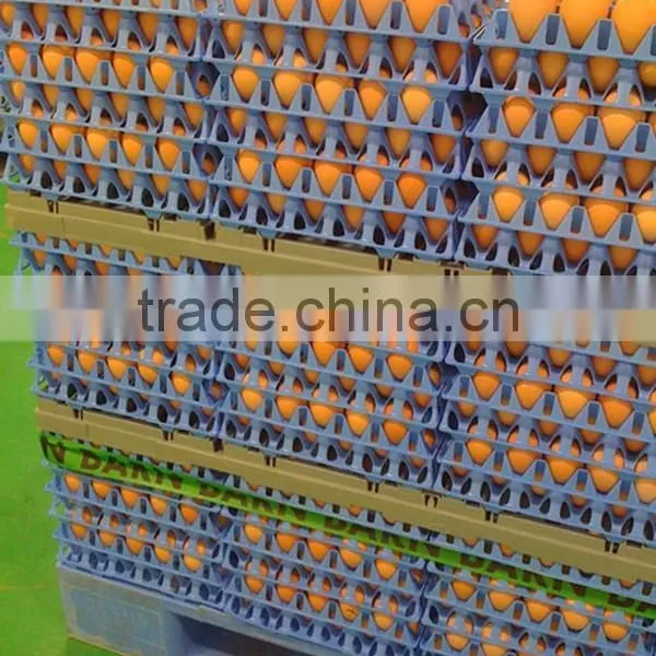 Good Price Commerical Transport Chicken Eggs Plastic Tray photo-5