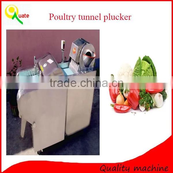 Fruits And Vegetable Processing Equipment, Vegetable Cutter photo-5