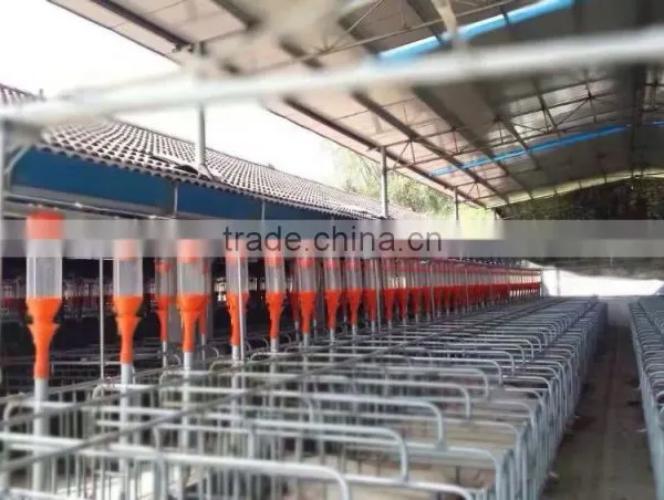 All Pig Farm Pig Farming Equipment for Pig