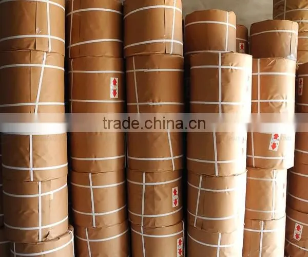 PP Packing Strap photo-2