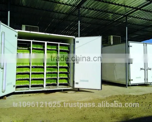 STAR GF300 Hydroponic Trays / Hydroponics Fodder / Hydroponic Fodder photo-5