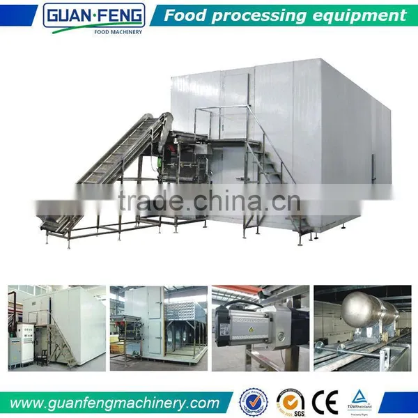 Shangyu Guanfeng Frozen French Fries Production Plant IQF Machine Price photo-4