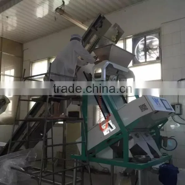 Intelligent Color Camera CCD 2 Chutes Garlic Color Sorter /color Sorting Machine photo-6
