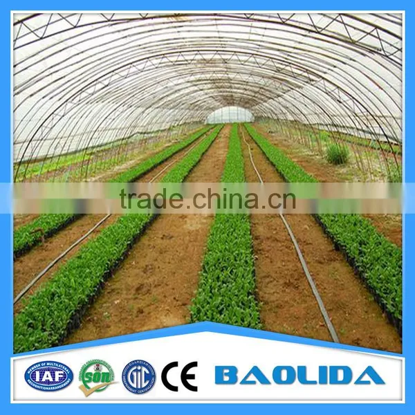 Used Hydroponic Greenhouses photo-6