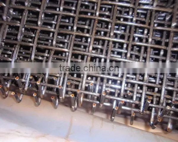 2017 Crimped Wire Mesh for Factory photo-3