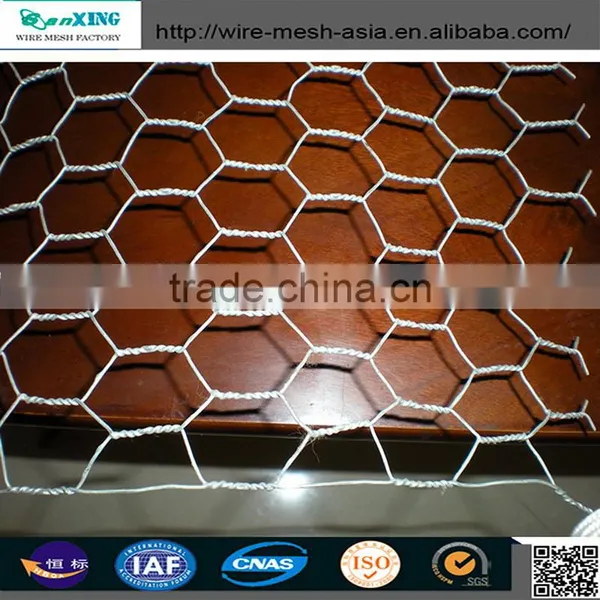 Bird Cage Wire Mesh / Gabion Mesh / Hexagonal Wire Mesh With High Quality photo-2