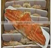 Boiled Frozen/Fresh Frozen Snow Crab Legs/Whole From Hokkaido photo-2