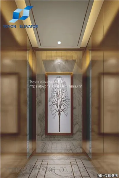 Лифт Toyon Villa для жилых помещений и домашних лифтов