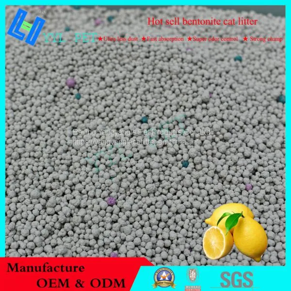 Best Quality Bentonite Cat Litter From China