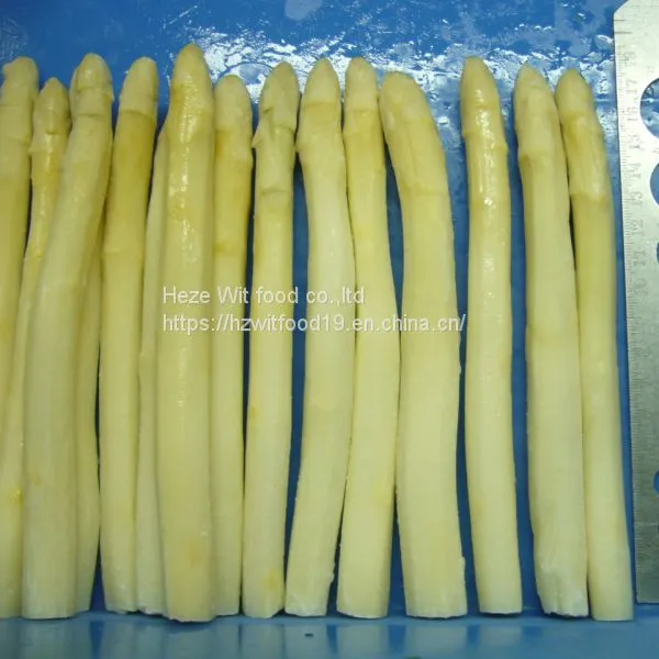 IQF White Asparagus Counts and Center Cuts photo-3