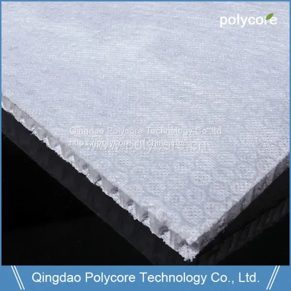 Light Weight Waterproof Honeycomb Sandwich Panel as Train Door Cabinet Partition Structural Material photo-5