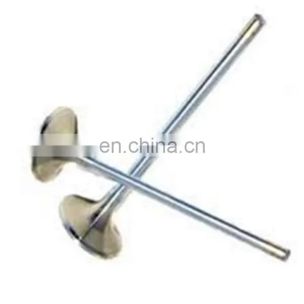Superbikes Accessories and Spare Parts Inlet Exhaust Engine Valves for Bajaj Pulsar Ns200 Rs200 photo-3