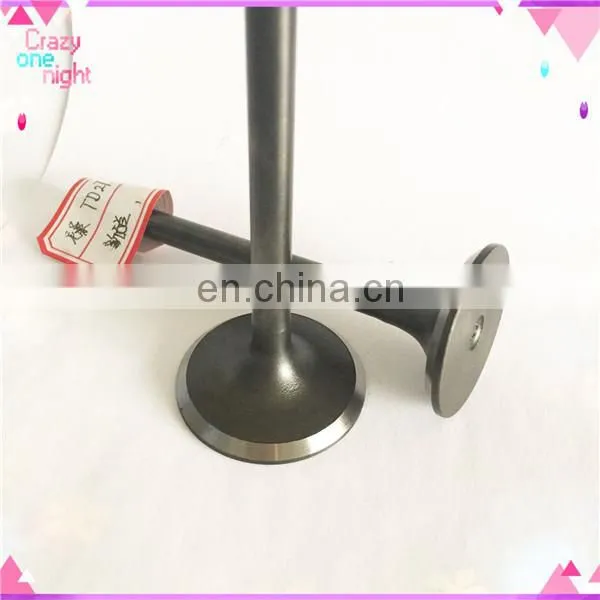 Motorcycle Spare Parts Intake Exhaust Engine Valves for Yamaha Yb100 Y100 photo-4