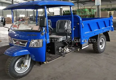 Diesel Tricycle, Cargo Loader, Trike, Three Wheeler, LOVOL Super Heavy Loading 5000kg photo-3