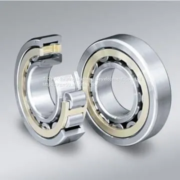 SF06A69 Deep Groove Ball Bearing photo-2
