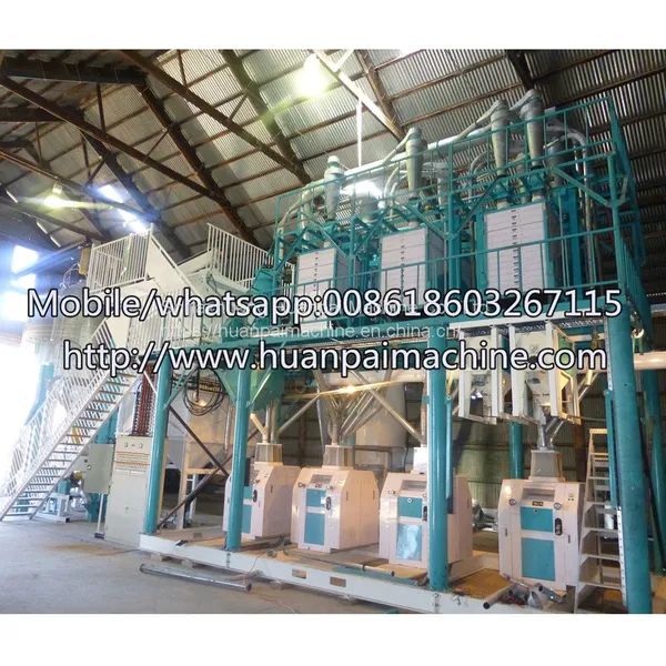 Wheat Milling Machine to Make Flour and Semolina/ Wheat Processing Machine photo-3