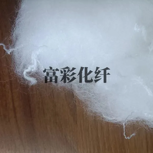 Special Polypropylene Short Fiber for Filter Cloth photo-3
