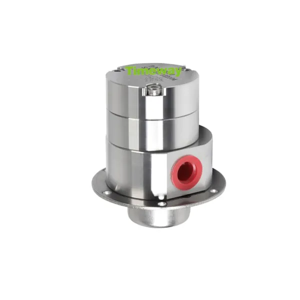 High Accuracy Self Priming Gear Metering Pump Stainless Steel 316L Magnetic Coupled Pump for Clean Water Wastewater OEM Support photo-3